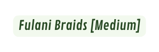 Fulani Braids Medium